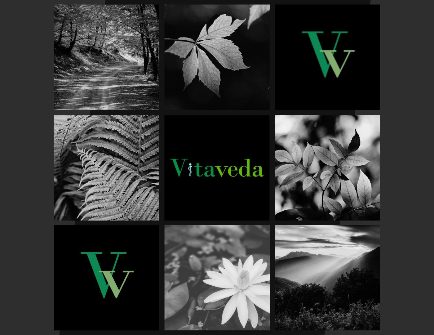 Vitaveda — US healthcare brand identity